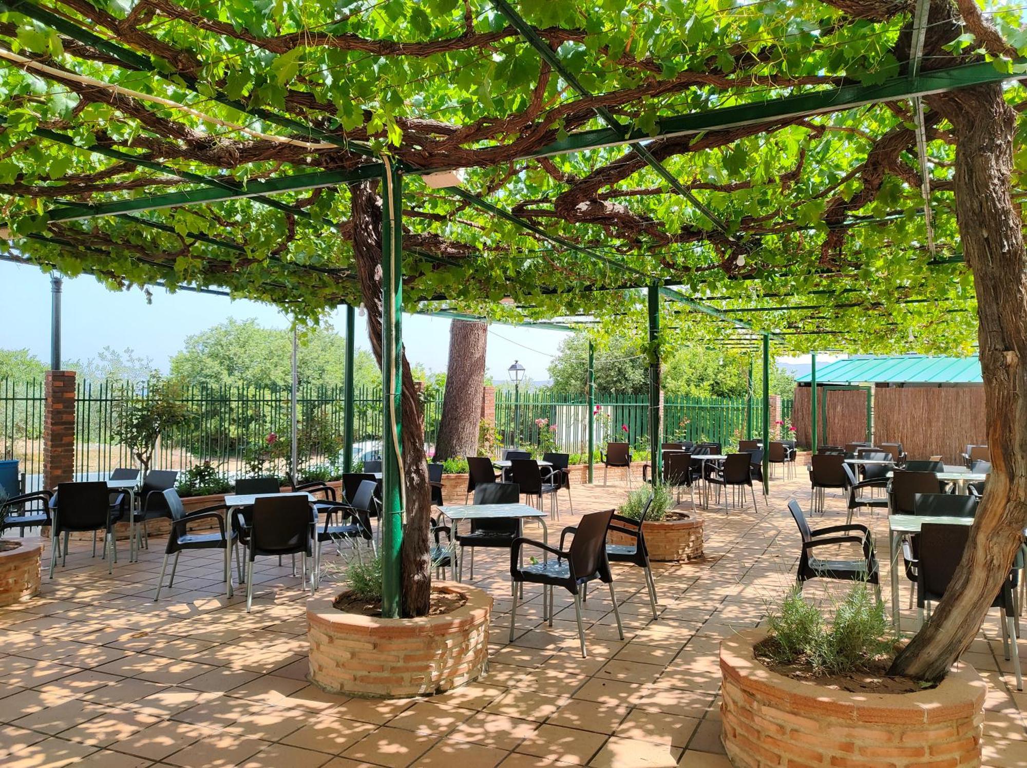 El Molino Hostal-Restaurante Jarafuel Ngoại thất bức ảnh